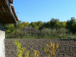 Bulgarian plot for sale near Novi Pazar