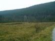 Attractive land for sale near Lovech