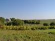 Plot for sale near Dobrich town