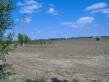 Agricultural land for sale in Dobrich