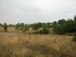 Agricultural land for sale