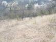 Land for sale near Veliko Tarnovo