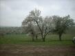 Land for sale in the Dobrich area 